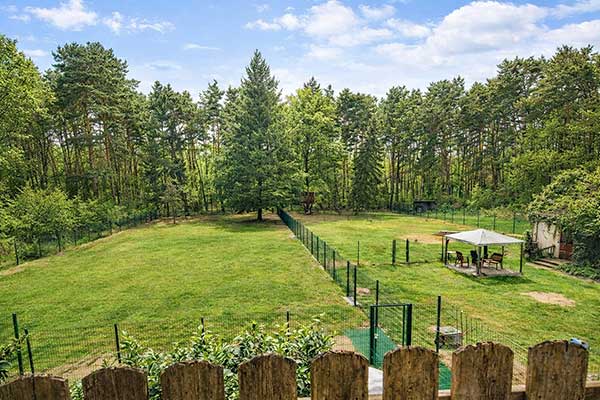 Waldgrundstück & Auslauf